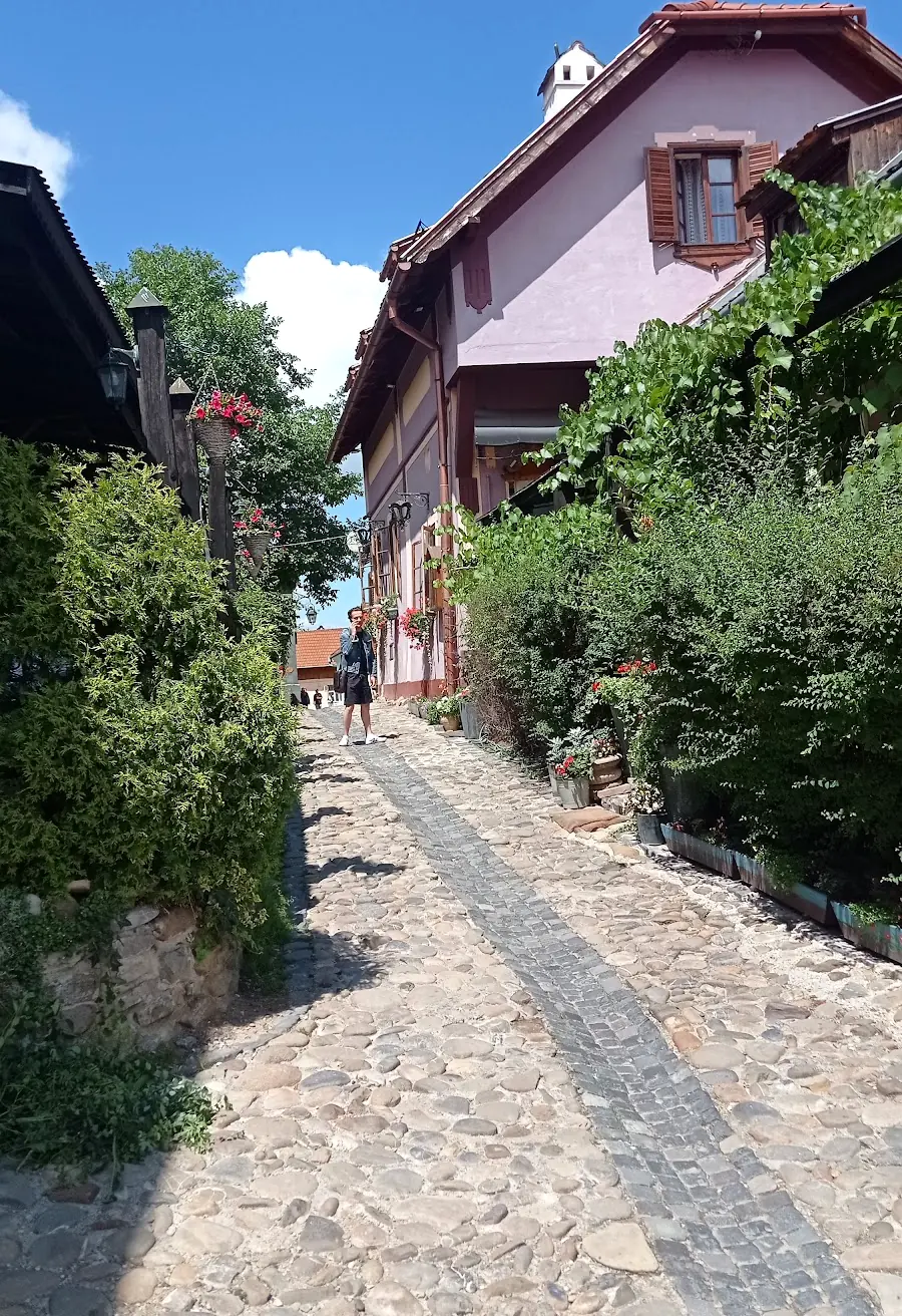 Ulicioară pietruită cu verdeață în Cetate